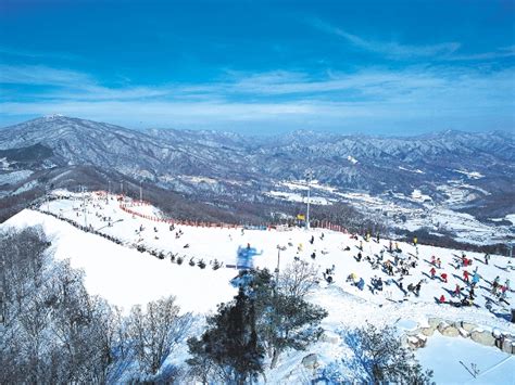  평창 용평리조트 눈 덮인 경치와 스릴 넘치는 스키!